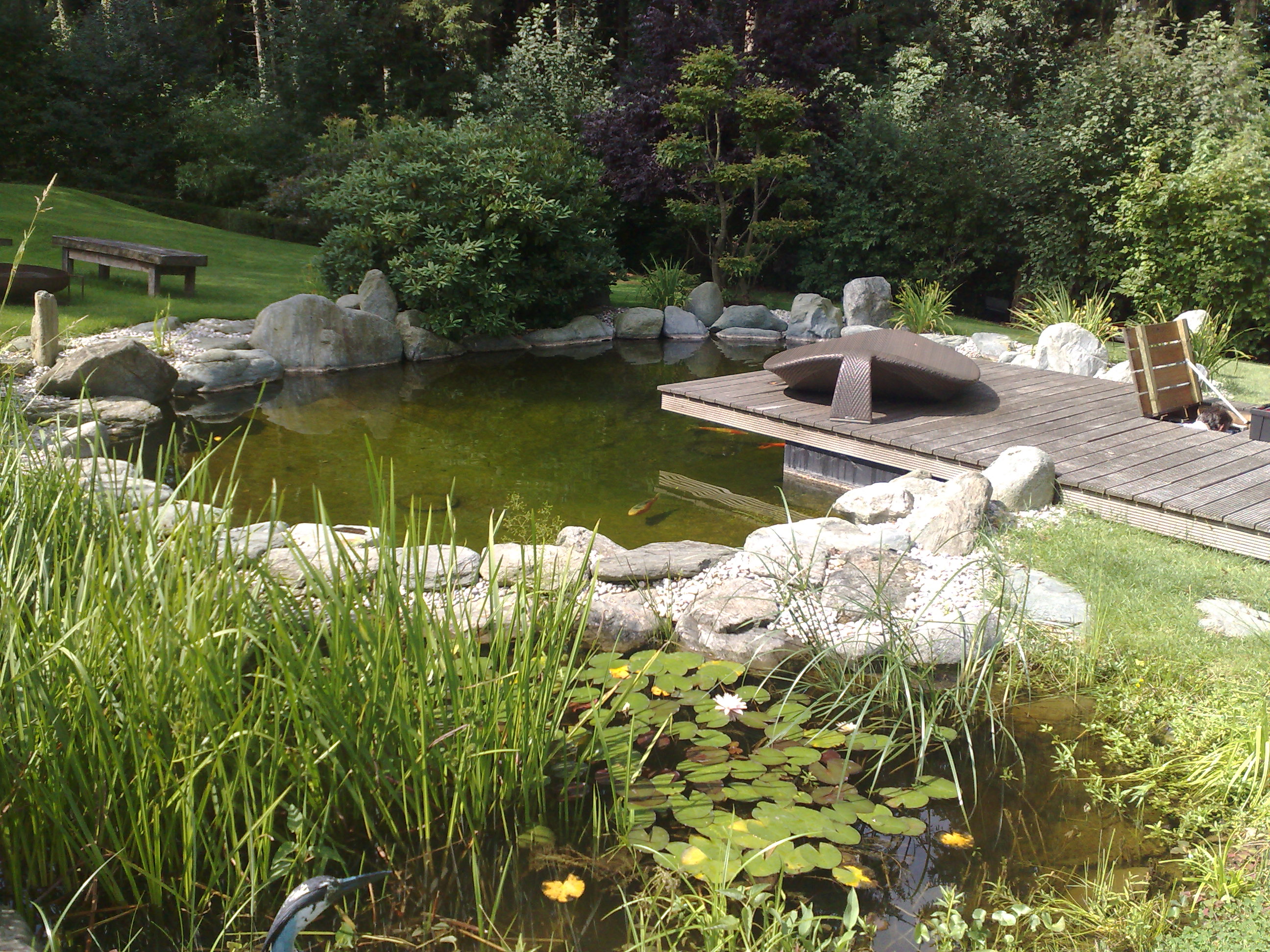 Wasser im Garten Teichbau Dollinger